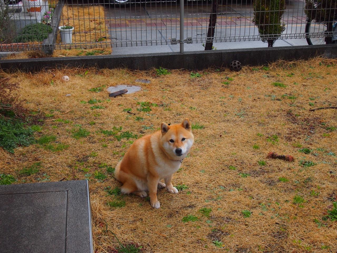 陌生人剧情介绍大全